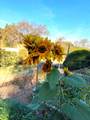 22801 Hidden Ranch Road - Photo 82