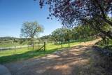 22801 Hidden Ranch Road - Photo 83