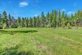 16454 State Highway 49 - Photo 55