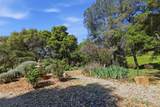 6637 Baralee Lane - Photo 53