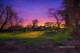 13355 Lancaster Road - Photo 77