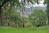 6385 Mckeon Ponderosa Way - Photo 11