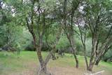 6385 Mckeon Ponderosa Way - Photo 35