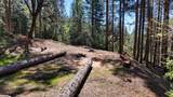 1961 Caprine Hill Trail - Photo 71