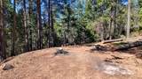 1961 Caprine Hill Trail - Photo 74