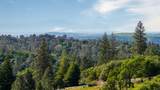10360 Oak Canyon Drive - Photo 10