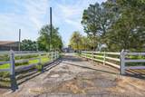 13512 Alta Mesa Road - Photo 17