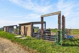 13512 Alta Mesa Road - Photo 78