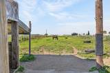 13512 Alta Mesa Road - Photo 81