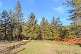 26375 Barb Wire Lane - Photo 52