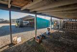 5025 El Paraiso Avenue - Photo 40