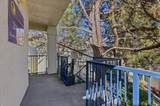 202 Beachcomber Drive - Photo 11