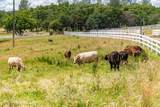 20945 Bear Hollow Road - Photo 11