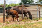 20945 Bear Hollow Road - Photo 22