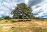 20945 Bear Hollow Road - Photo 59