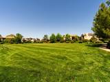 1281 Terracina Drive - Photo 59