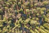 5498 Platt Mountain Road - Photo 58