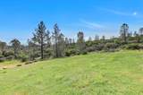 13886 Meadow Valley Road - Photo 89