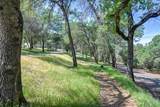 3716 Murphy Ranch Road - Photo 14
