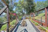 3716 Murphy Ranch Road - Photo 91