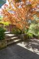 1598 Coyote Drive - Photo 3