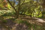 1598 Coyote Drive - Photo 48