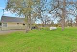 203 Tennessee Lane - Photo 31