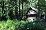 101 Wild Plum Rd. - Photo 15