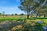 11890 Cresthill Drive - Photo 13