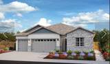 3008 Arenal Drive - Photo 1