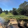 6847 Terreno Drive - Photo 2
