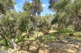 17742 Silver Pine Drive - Photo 38