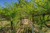 15205 Bunker Hill Road - Photo 56