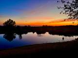 25799 Sweet Road - Photo 79
