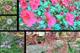 25799 Sweet Road - Photo 88