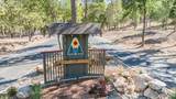 12857 Mueller Drive - Photo 38