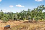 17611 Patricia Way - Photo 70