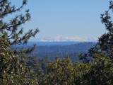 17611 Patricia Way - Photo 76
