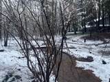 12528 Rattlesnake Road - Photo 48