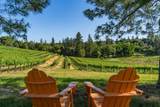 16915 Red Mule Road - Photo 3