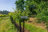 16915 Red Mule Road - Photo 50