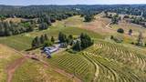 16915 Red Mule Road - Photo 55