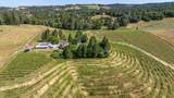 16915 Red Mule Road - Photo 56