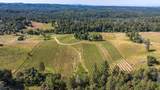 16915 Red Mule Road - Photo 58