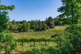 16915 Red Mule Road - Photo 60