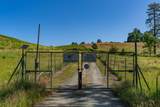 16915 Red Mule Road - Photo 65