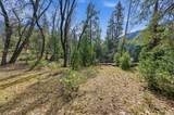 17 Squirrel Hollow - Photo 23