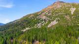 17 Squirrel Hollow - Photo 24