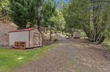 23433 Highway 49 - Photo 23