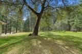 23433 Highway 49 - Photo 24